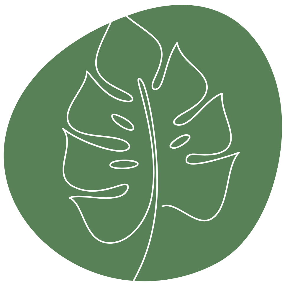 Stabilis Treatment Centre Icon detox